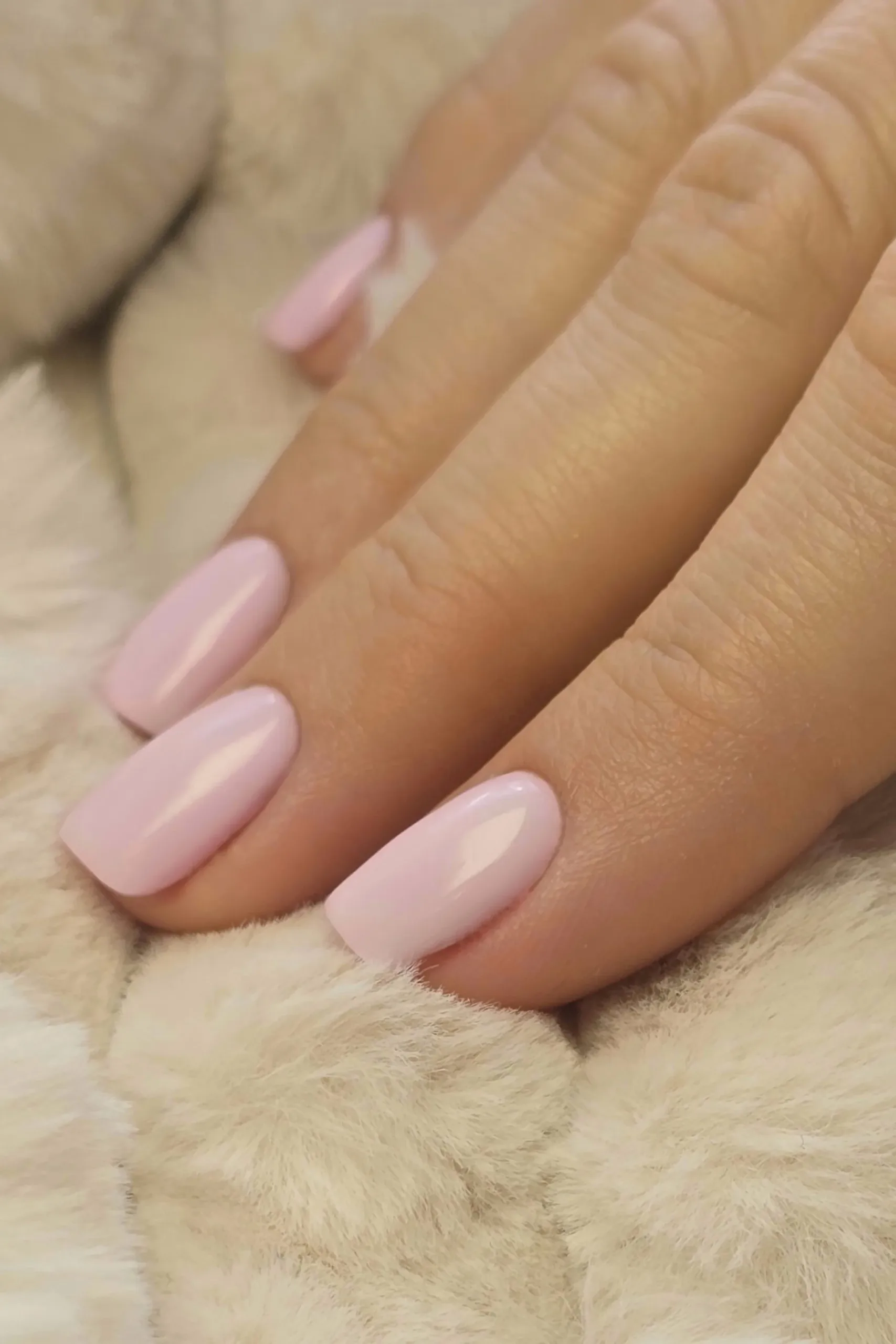 PORTFOLIO Shellac Nägel